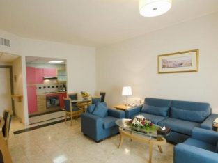 Fully Furnished One Bedroom in a Luxury Hotel Apar