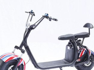 Fat Tyre Scootzy with 2 seats 800 w