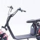 Fat Tyre Scootzy with 2 seats 800 w