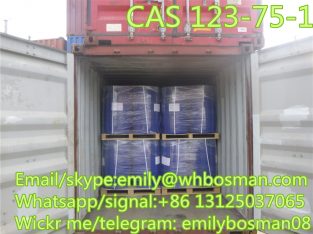 CAS 123-75-1 Pyrrolidine supplier