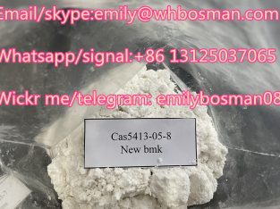 New BMK CAS 5413-05-8 Ethyl 2-phenylacetoacetate