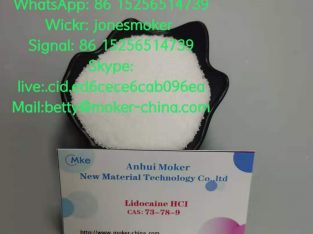 High quality lidocaine hcl cas 73-78-9 with large