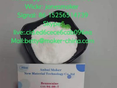 High purity benzocaine cas 94-09-7 low price