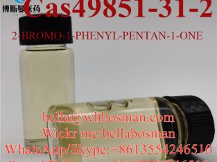 Buy cas 49851-31-2 2-Bromovalerophenone