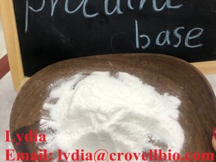 Procaine Powder / procaine Base 59-46-1